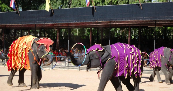 Előrehozott választás, új alkotmány – sikerül véget vetni a politika káosznak Thaiföldön?