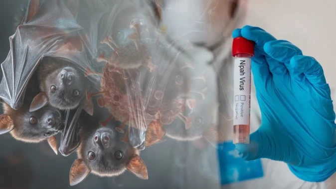 A virológus szerint fokozottan figyelni kell a Nipah-vírust
