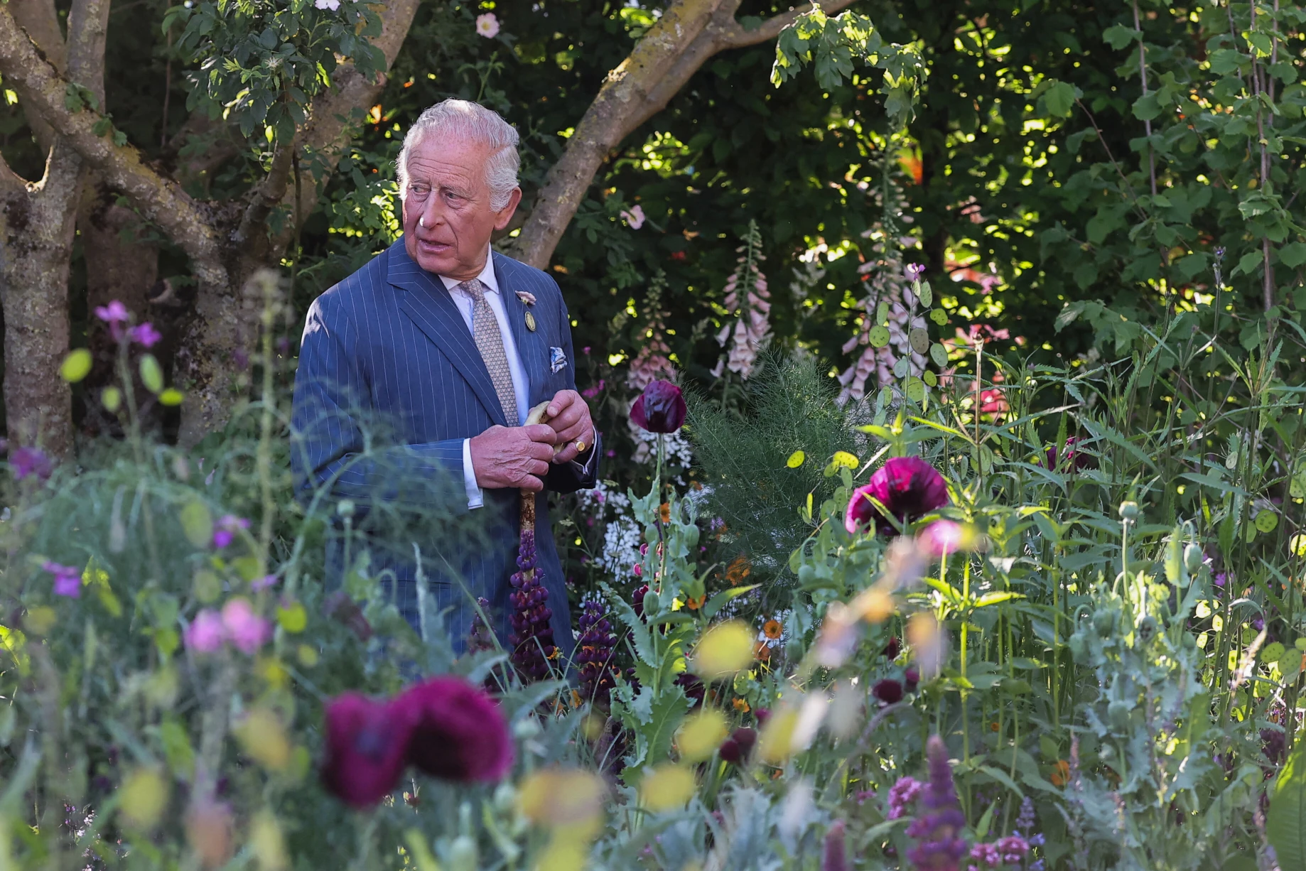 III. Károly mesterlövészeket vetett be egy horgászaton