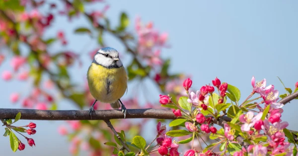 Megvan mikor lesz vége a durva télnek. Pont ekkor javul meg az idő, itt a tavaszi időjárás előrejelzés