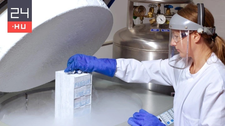 Dubajban épül a világ legnagyobb genetikaiminta-tárolója