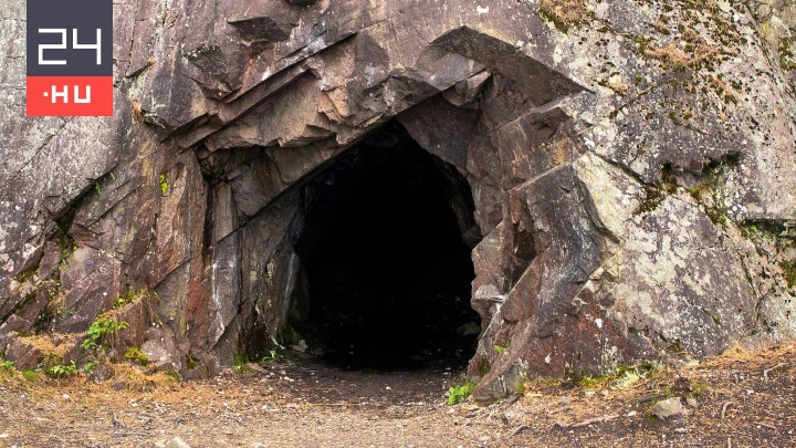 Fény nélkül fotoszintetizáló mikrobákra bukkantak