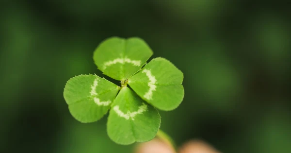 Ők vihetik el a lottóötöst! Ezek a legszerencsésebbek és a legpechesebb csillagjegyek 2026. február második felében