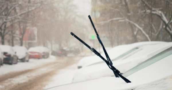 Tavasz vagy tél? Egy nap alatt minden megváltozik!