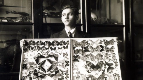 Gyűjtők és kollekciók – Idő- és pénzpazarlás vagy intellektuális elfoglaltság