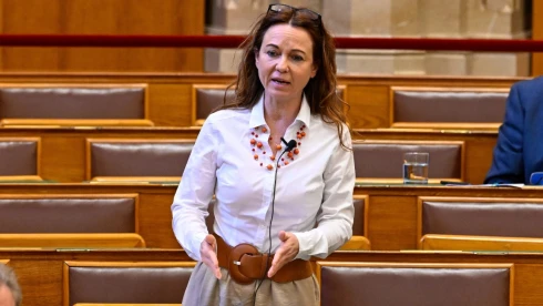 A Tisza miatt az MSZP visszaléptetné Szabó Tímeát, és ejti Óbuda polgármesterét is