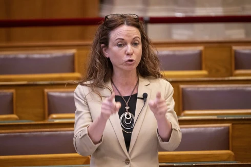 A Tisza Párt érdekében az MSZP visszalépésre szólította fel Szabó Tímeát, és megvonja a bizalmat a III. kerületi polgármestertől is