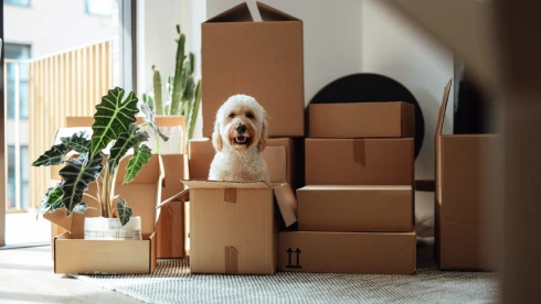 Örömhír a lakásbérlőknek: lelassult a drágulás, Budapesten ismét csökkentek a bérleti díjak