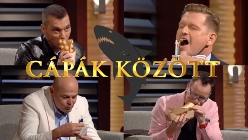 A Cápák között vendéglátósai: volt, aki befektetéssel lakott jól, másnak csak kritika jutott