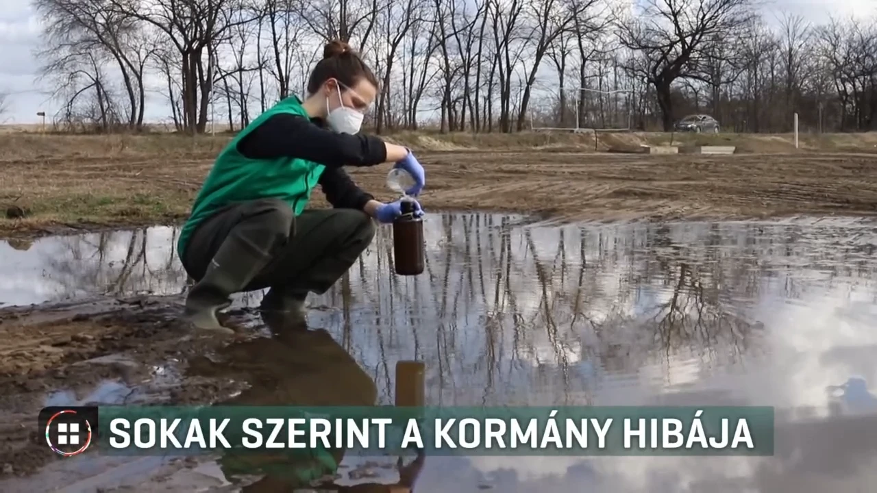 Gödi Samsung Gödi Samsung