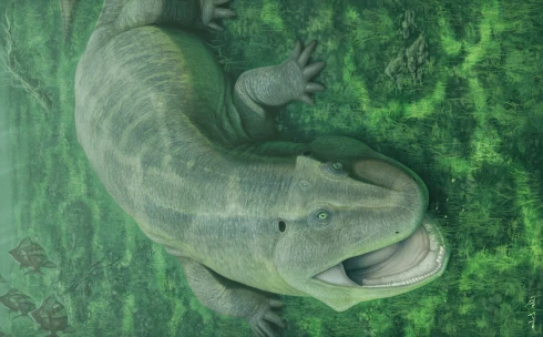 Furcsa külsejű ősi állatot fedeztek fel Brazíliában