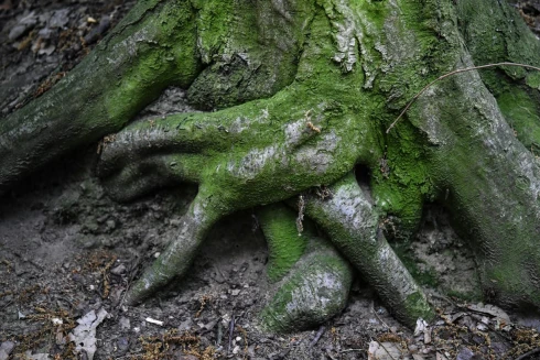 Mit kezdhet az ökológiai válsággal a pénzügyi szektor?