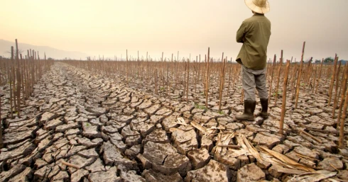 A GDP 14 százaléka is múlhat rajta - forintosíthatók a környzeti károk