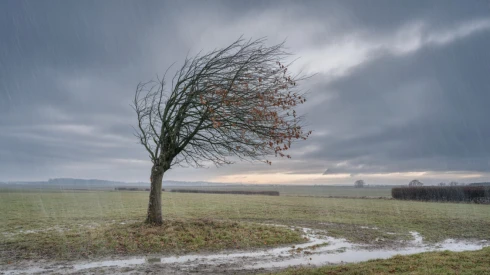 Ez vár ránk a hétvégén: hatalmas erővel söpör végig a szél Magyarországon