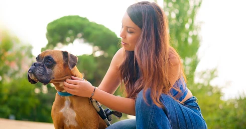 Szeretetteljes érintés vagy tolakodás? Ezt az 5 részt a kutyán jobb, ha nem simogatod meg először