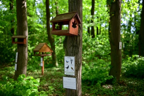 Hírmozaik – április 28.