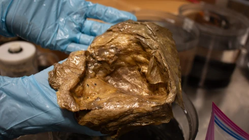 Megoldották az óceánban talált aranygömb rejtélyét