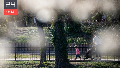 50 ezernél többen haltak meg annál, mint ahány gyerek született az utóbbi egy évben Magyarországon