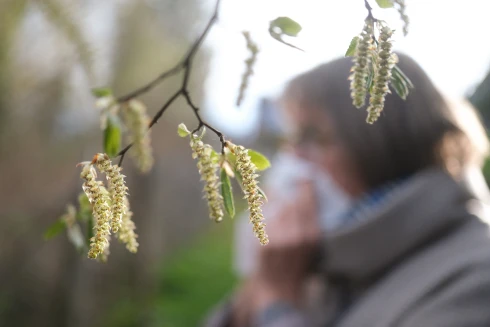 Ha szénanáthás, akkor jobb elkerülni ezeket az ételeket