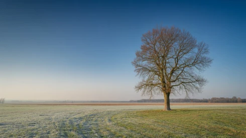 Hatalmas fordulat jön az időjárásban: ez vár Magyarországra a hosszú hétvégén