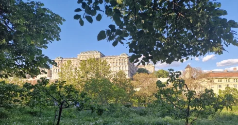 Hullámvasútra ültet az időjárás: hajnalban fagy, hétvégén akár 27 fok is jöhet