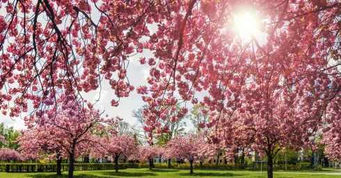 Ledöbbentek az időjósok is: pontosan ennyit kell még várnunk az igazi tavaszra