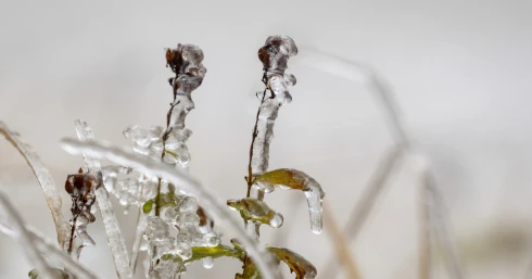 Megdőlt a hajnali hidegrekord, mínusz 5 Celsius-fokot mértek Lénárddarócon
