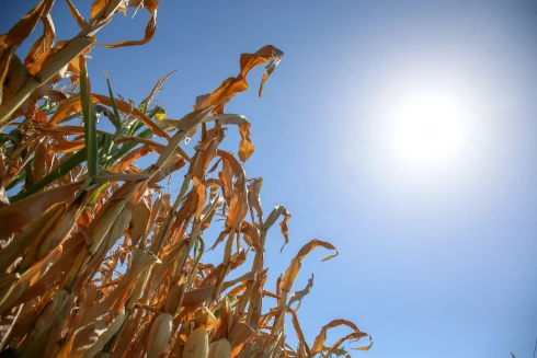 Sok napsütéssel, eső nélkül jön a hosszú hétvége