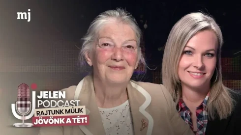 Beteggé etetve – a profit ára az egészséged