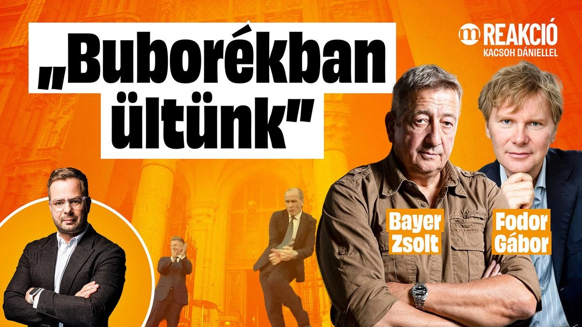 Bayer Zsolt