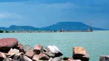 Apró menyhalak lubickolnak a Balaton új lakóiként
