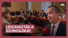 Leszavazták a Mi Hazánk javaslatát – a Tisza és a Fidesz nemet mondott a szurkolóknak