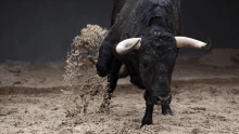 Nagy nap jön a tőzsdéken – Ezek a részvények lehetnek a nyertesei!