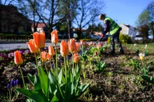Kilenc milliárd forintra szerződött a a XIII. kerület a parkfenntartási botrány egyik cégével