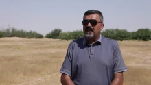 A kihalás széléről tért vissza Irak ikonikus állata