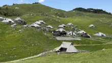 Házassági ajánlat sajt formájában: különleges hagyomány él a szlovén hegyekben