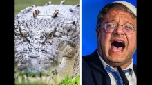 Krokodilokkal benépesített vizesárkot létesít Izrael egy, főleg palesztin foglyokat fogva tartó börtön köré
