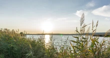 Leállította a Tisza-kormány a NER sukorói beruházását: 12 ponttal mentik a Velencei-tavat