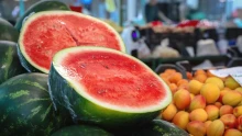 Hatmillió forint hektáronként a dinnye termesztése és kapnak érte 40-50 forintot kilónként a termelők: kiadták a figyelmeztetést, ezt 2027-ig lehet bírni