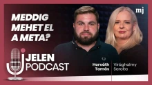 Törölték Horváth Tamás több milliós megtekintésű Facebook-oldalát