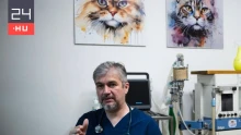 Hadházy: Horogkereszt miatt vádat emeltek az Alapjogokért Központ propagandistája ellen