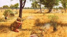 Mennyire ismeri Afrika egyik legkeményebb gerillaháborúját, a rodéziai bozótháborút?