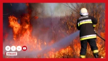Elszenesedett a táj Veszprémtől alig pár kilométerre, szívfájdító felvételeket készítettek