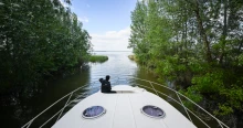 Bajban a Tisza-tó is, beavatkozásokat kell végrehajtani