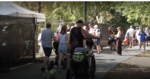 A Tisza Szigetek arra készülnek, hogy ellenőrzik a kormányt, és jelzik, mi van a végeken