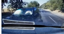 A papucsban vezető BMW-s még a kutyákat is elütötte volna, csak fékeznie ne kelljen