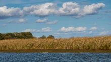 Drasztikus fordulat a Balaton ingatlanpiacán: több mint felével esett a kereslet