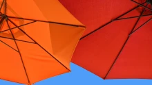Az idei volt Hollandia eddigi legmelegebb nyara