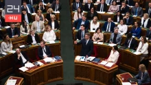 Tűzifaáfa, Médiatanács, Alkotmánybíróság: ezekről dönt a parlament