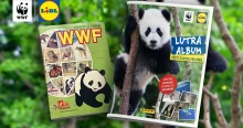 Újra életre kel a Lutra album, a Lidl és a WWF Magyarország közös kezdeményezése